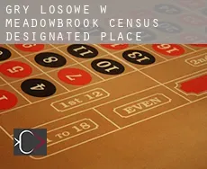 Gry losowe w  Meadowbrook
