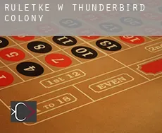 Ruletkę w  Thunderbird Colony