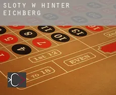 Sloty w  Hinter Eichberg