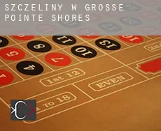 Szczeliny w  Grosse Pointe Shores