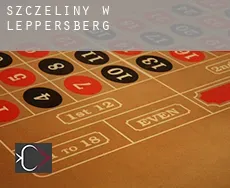 Szczeliny w  Leppersberg