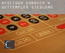 Wyścigów konnych w Guttempler-Siedlung