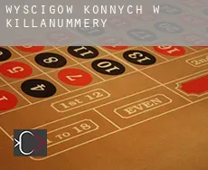 Wyścigów konnych w  Killanummery