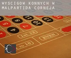 Wyścigów konnych w Malpartida de Corneja