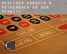 Wyścigów konnych w Röthenbach an der Pegnitz
