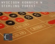 Wyścigów konnych w  Sterling Forest
