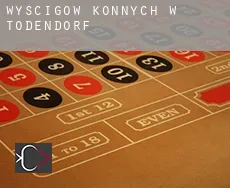 Wyścigów konnych w Todendorf