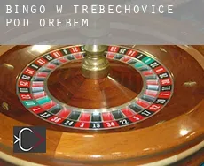 Bingo w Třebechovice pod Orebem