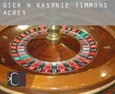 Gier w kasynie  Timmons Acres