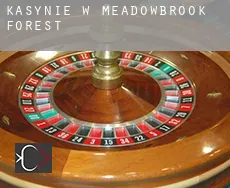 Kasynie w Meadowbrook Forest