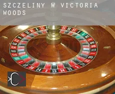 Szczeliny w Victoria Woods
