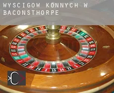Wyścigów konnych w  Baconsthorpe