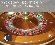 Wyścigów konnych w Centenera de Andaluz