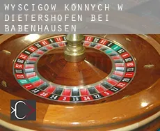 Wyścigów konnych w Dietershofen bei Babenhausen