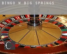 Bingo w Big Springs