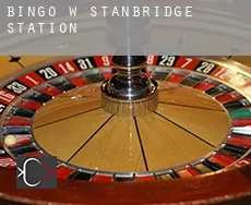 Bingo w  Stanbridge Station
