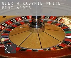 Gier w kasynie  White Pine Acres