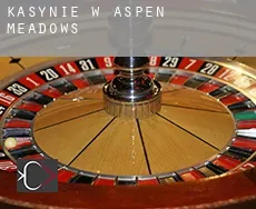 Kasynie w  Aspen Meadows