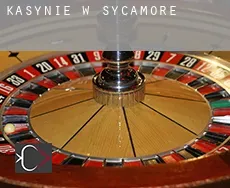 Kasynie w  Sycamore