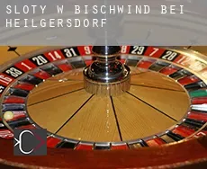Sloty w Bischwind bei Heilgersdorf