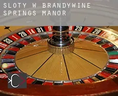 Sloty w  Brandywine Springs Manor
