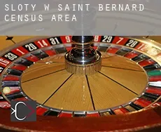 Sloty w  Saint-Bernard (census area)