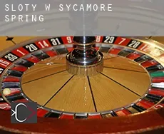 Sloty w Sycamore Spring