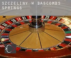 Szczeliny w  Bascombs Springs