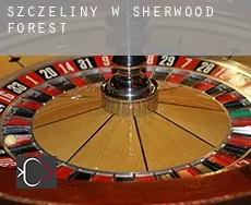 Szczeliny w  Sherwood Forest