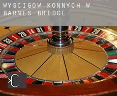 Wyścigów konnych w  Barnes Bridge