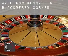 Wyścigów konnych w  Blackberry Corner