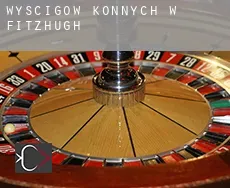 Wyścigów konnych w  Fitzhugh