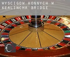 Wyścigów konnych w Kealincha Bridge