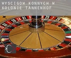 Wyścigów konnych w  Kolonie Tannenhof