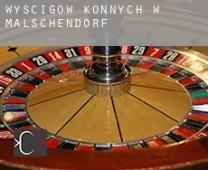 Wyścigów konnych w  Malschendorf
