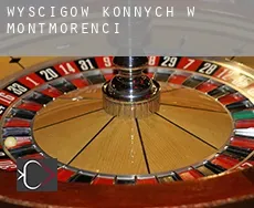 Wyścigów konnych w Montmorenci