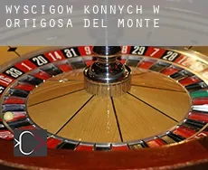 Wyścigów konnych w Ortigosa del Monte