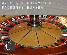 Wyścigów konnych w Padrones de Bureba