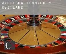 Wyścigów konnych w Reitland