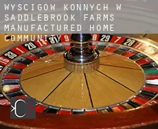 Wyścigów konnych w Saddlebrook Farms Manufactured Home Community