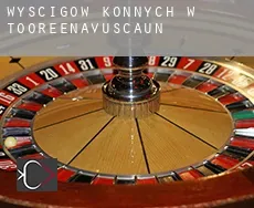 Wyścigów konnych w  Tooreenavuscaun