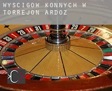 Wyścigów konnych w Torrejón de Ardoz