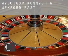 Wyścigów konnych w  Wexford East