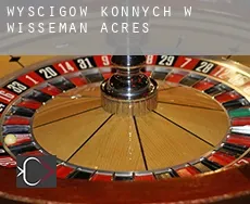 Wyścigów konnych w Wisseman Acres