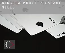 Bingo w  Mount Pleasant Mills