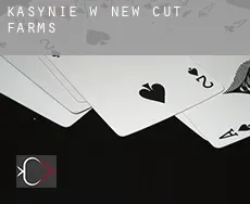 Kasynie w  New Cut Farms