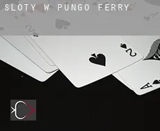 Sloty w Pungo Ferry