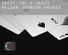 Szczeliny w James Weldon Johnson Houses