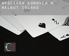 Wyścigów konnych w  Walnut Island