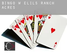 Bingo w  Elils Ranch Acres